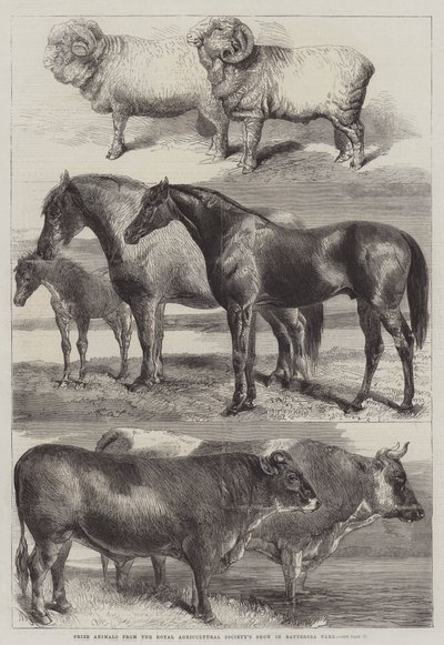 Prijsdieren van de Royal Agricultural Society